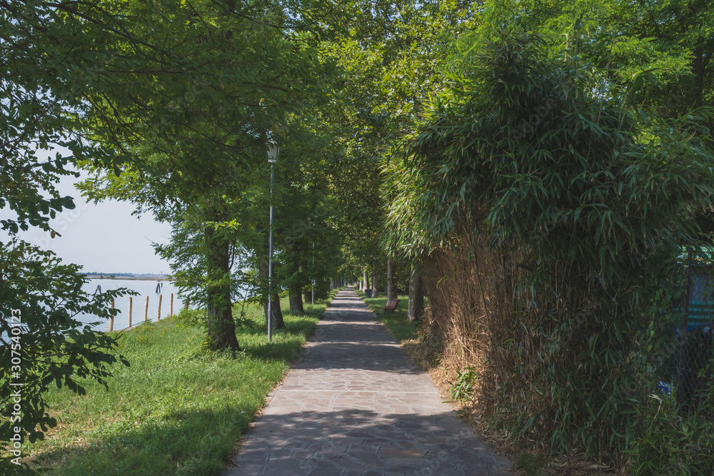 Obraz premium Path with trees on island of Mazzorbo, by Burano, Venice, Italy