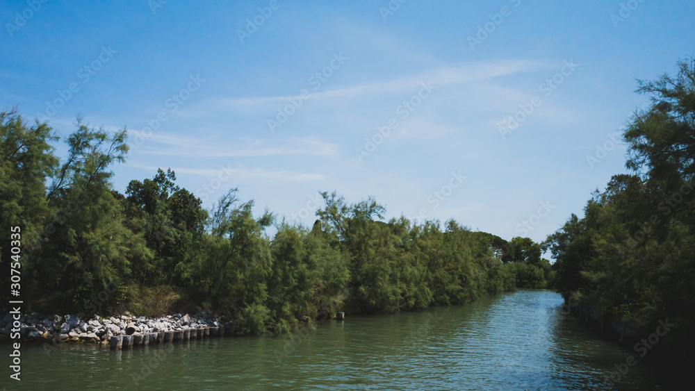 Canal between trees in island of Torcello, Venice, Italy