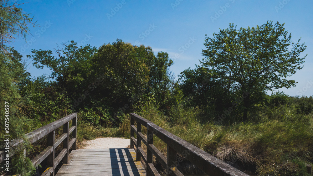 Wooden bridge and path on island of Torcello, Venice, Italy