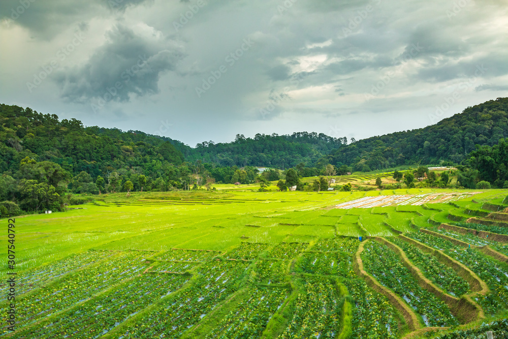 Mountain farmland Rice terraces at Mae Klang Luang, Doi Inthanon, Chiang Mai, Thailand