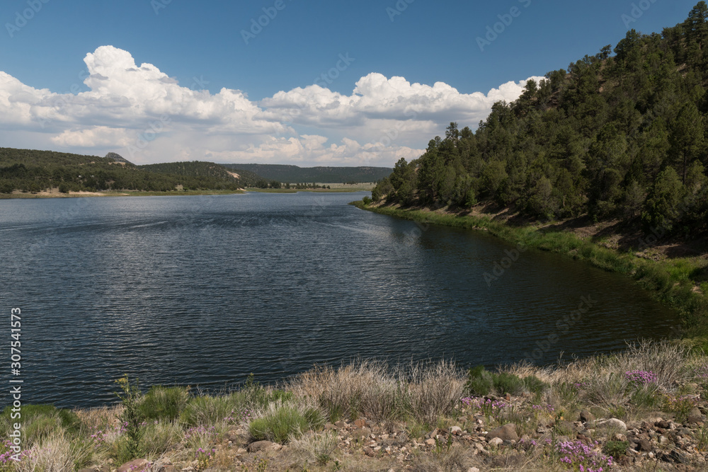 Southwestern shore of Quemado Lake, New Mexico.