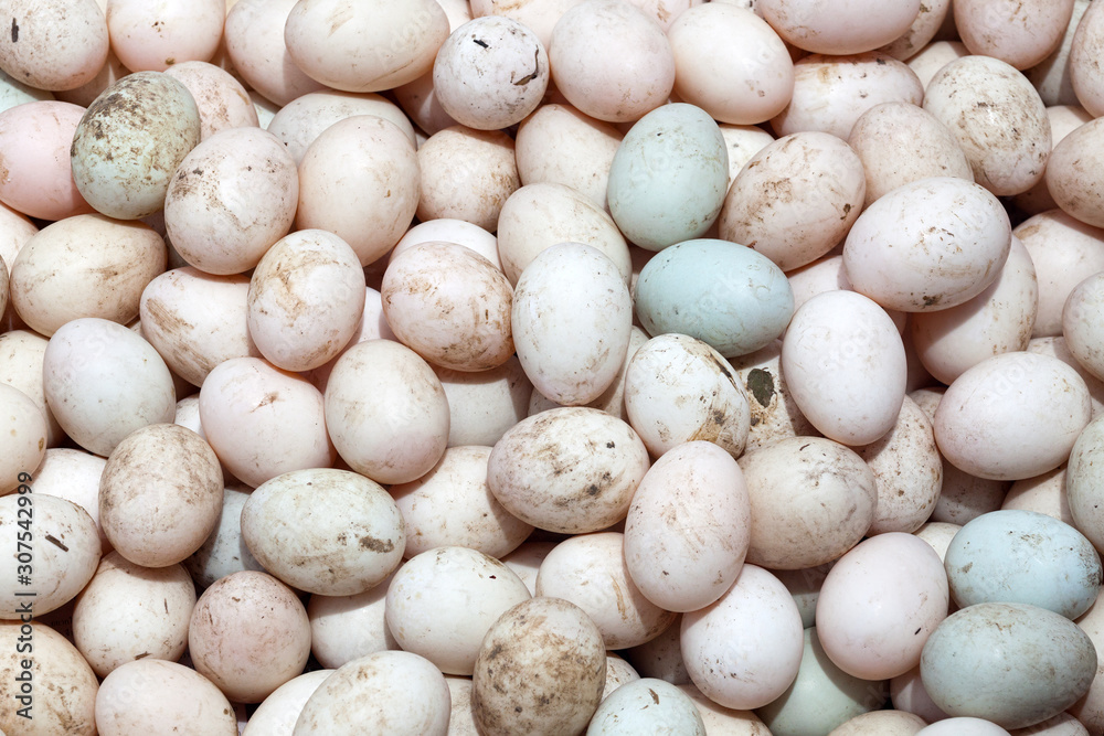 A pile of duck eggs.