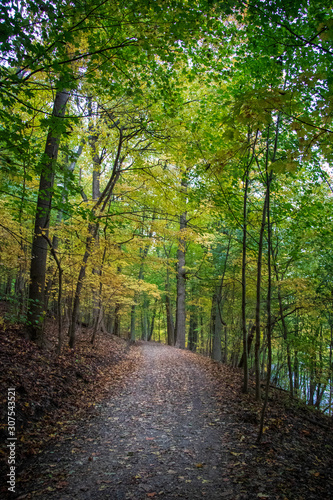 Path in Frick Park, Pittsburgh, PA © Barbora Batokova