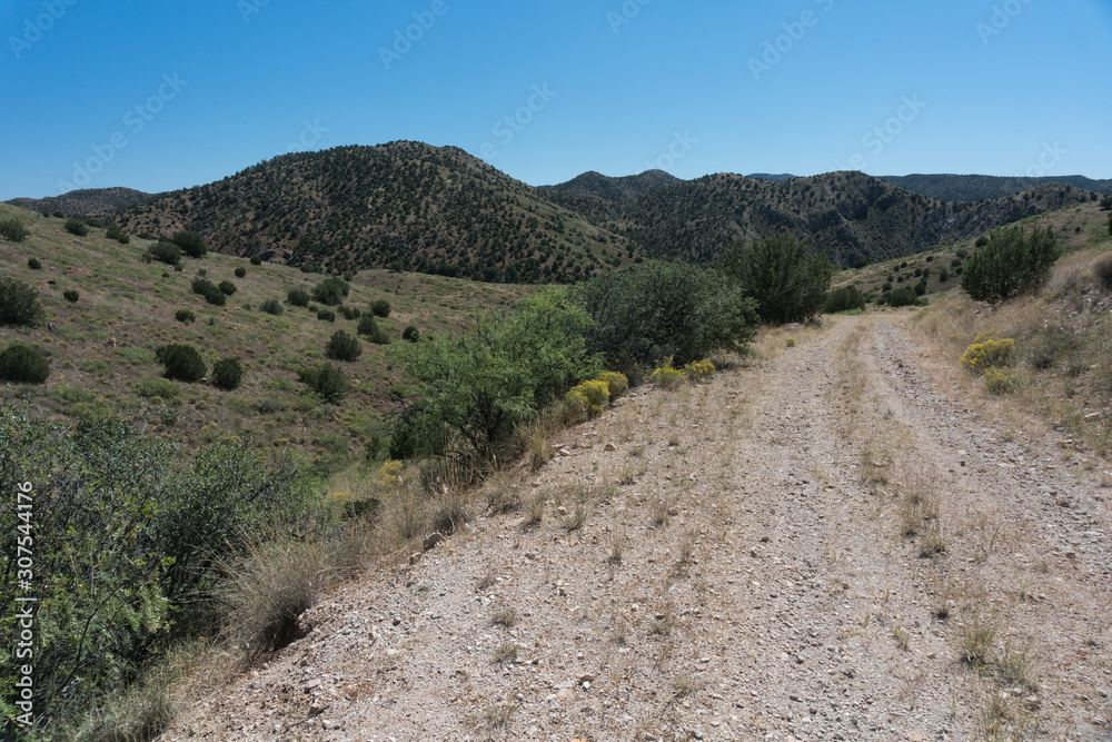 Rural southwest New Mexico road. Rural southwest New Mexico road.