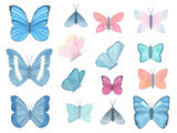 Watercolor butterfly big collection isolated on white background. Set of tropical butterfly for design cards, invitations, children’s wear. Butterfly art poster. Realistic style.