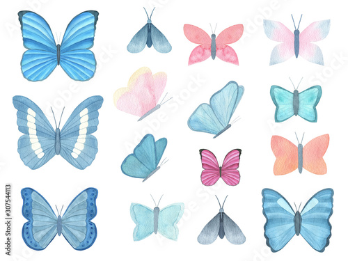Watercolor butterfly big collection isolated on white background. Set of tropical butterfly for design cards, invitations, children’s wear. Butterfly art poster. Realistic style.
