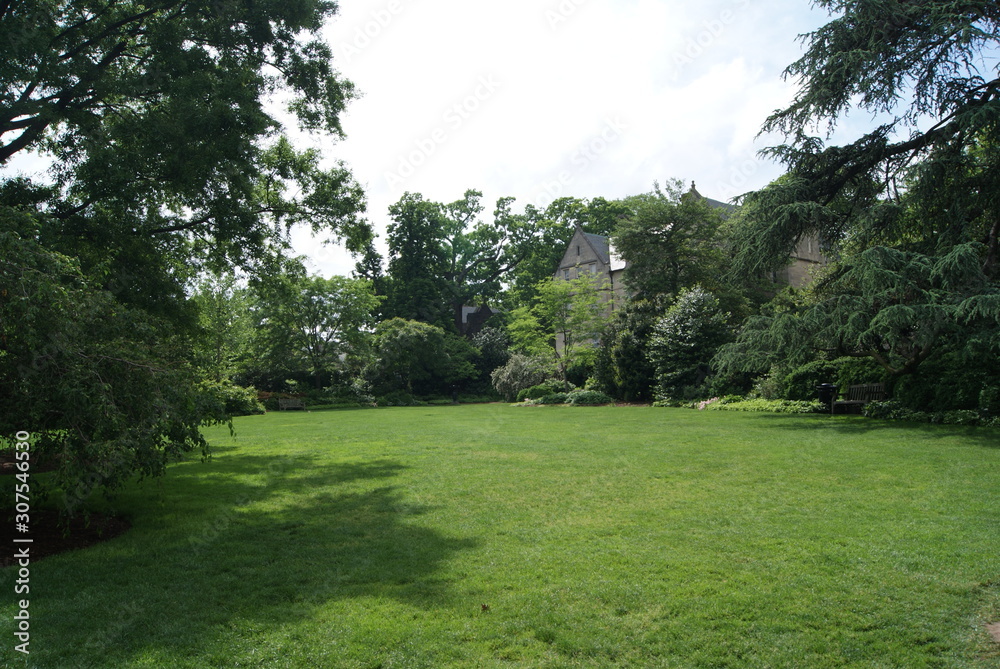  green meadow among houses and trees