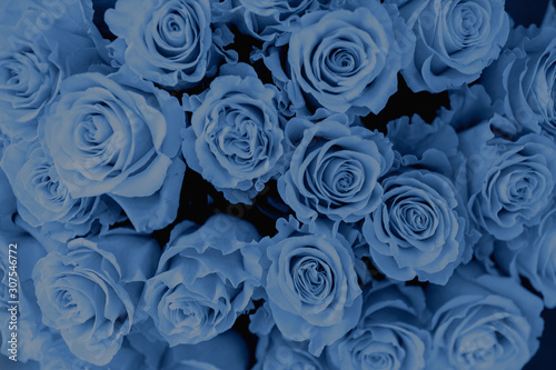 Bouquet of roses in a vase. Blue color background