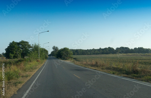Asphalt road that passes through rural areas with pastures and trees.