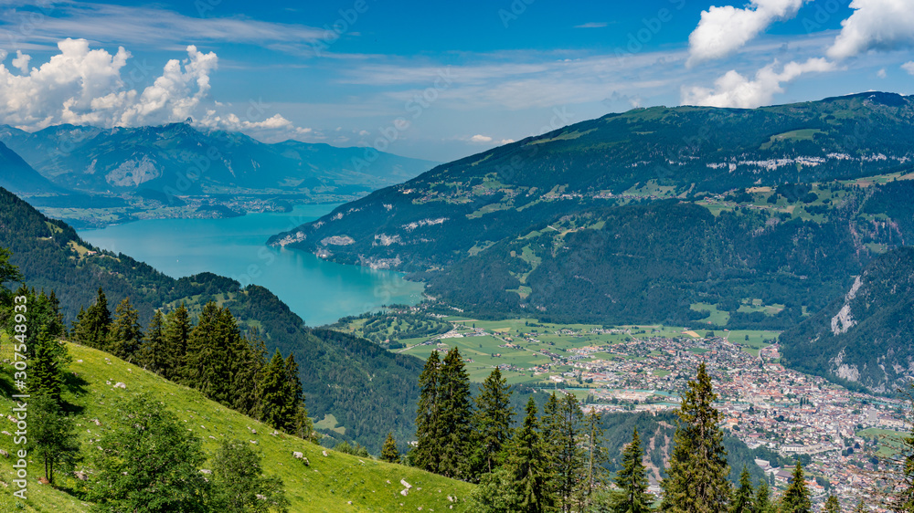 Fototapeta premium Switzerland, Panoramic view on green Alps and lake Tun from Schynige Platte
