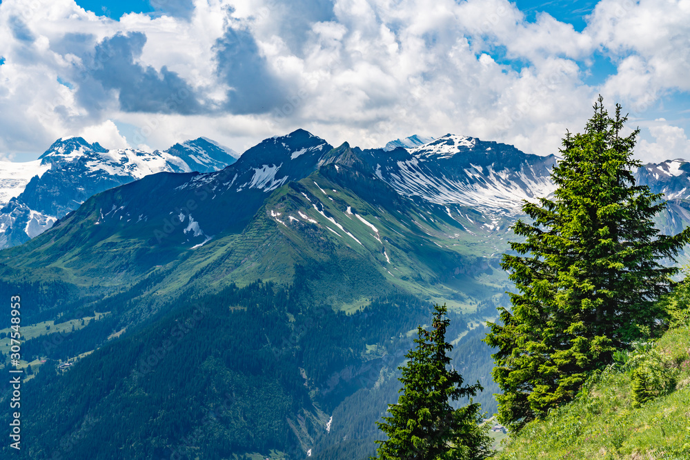 Obraz premium Switzerland, Panoramic view on green Alps from Schynige Platte