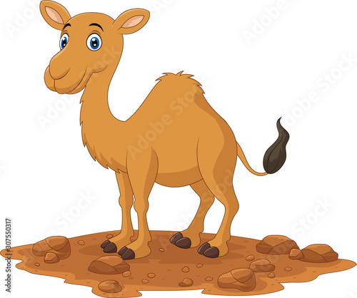 Cartoon camel isolated on white background