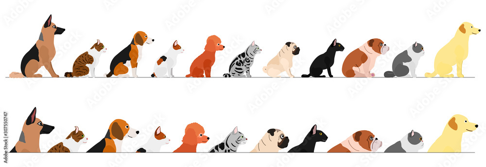 Ταπετσαρία set of  side view  dogs and cats border