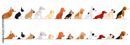 set of  side view small dogs border