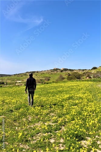 Canvastavla Man is walking around in yellow flower meadow near mistra bay and st