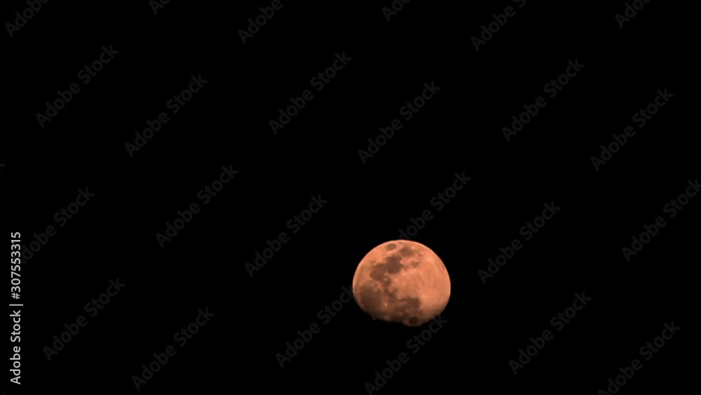 Orange moon time lapse, halloween, moon moves from bottom to top of screen. Orange moon time lapse, halloween, moon moves from bottom to top of screen.