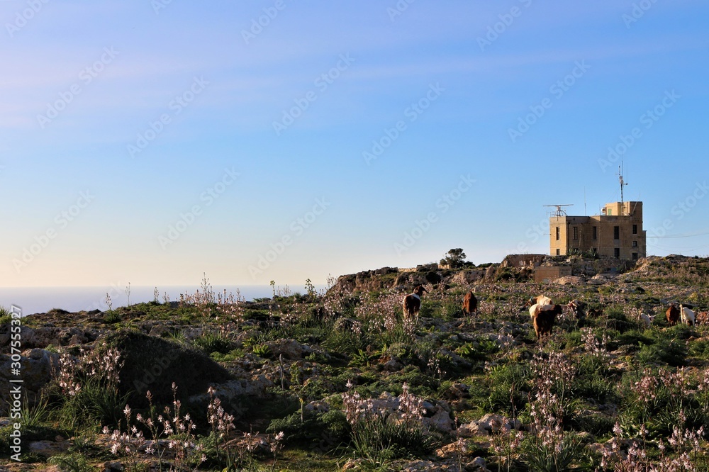 Beautiful landscape at Dingli Cliffs in Malta a european island