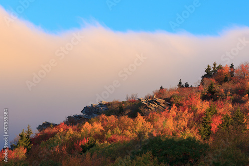 Hillside Touched by Light