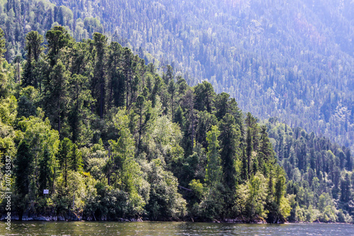 Altay Chemal beautiful mountains, green trees, pines, breathtaking views, landscapes and panoramas Russia