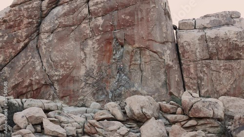 Man Rappelling Down from Red Boulder in Joshua Tree National Forest photo