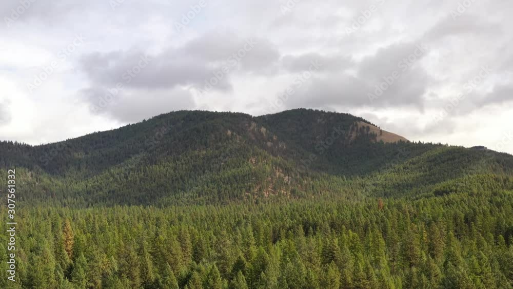 Tree Covered Mountain - High to Low (drone video) Tree Covered Mountain - High to Low (drone video)