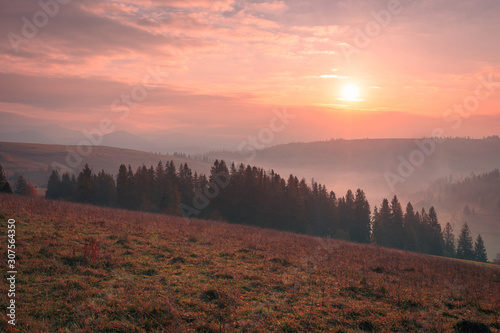 Eternal beauty of sunrise over autumn mountain hills. Foggy valley and spruce trees forest silhouette in the light of rising sun.