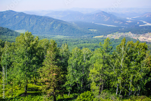 Altay Chemal beautiful mountains, green trees, pines, breathtaking views, landscapes and panoramas Russia