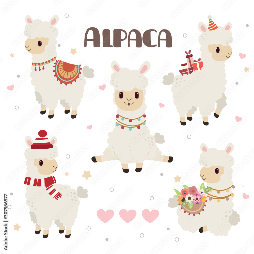 Obraz premium The collection of cute alpaca in the white backgrond and heart and star set. The character of cute alpaca in any action. some alpaca is sitting and standing. The alpaca wear a hat and winter hat.
