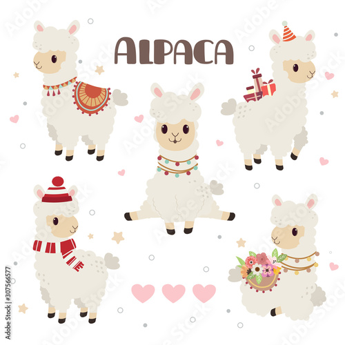 Fototapeta Naklejka Na Ścianę i Meble -  The collection of cute alpaca in the white backgrond and heart and star set. The character of cute alpaca in any action. some alpaca is sitting and standing. The alpaca wear a hat and winter hat.