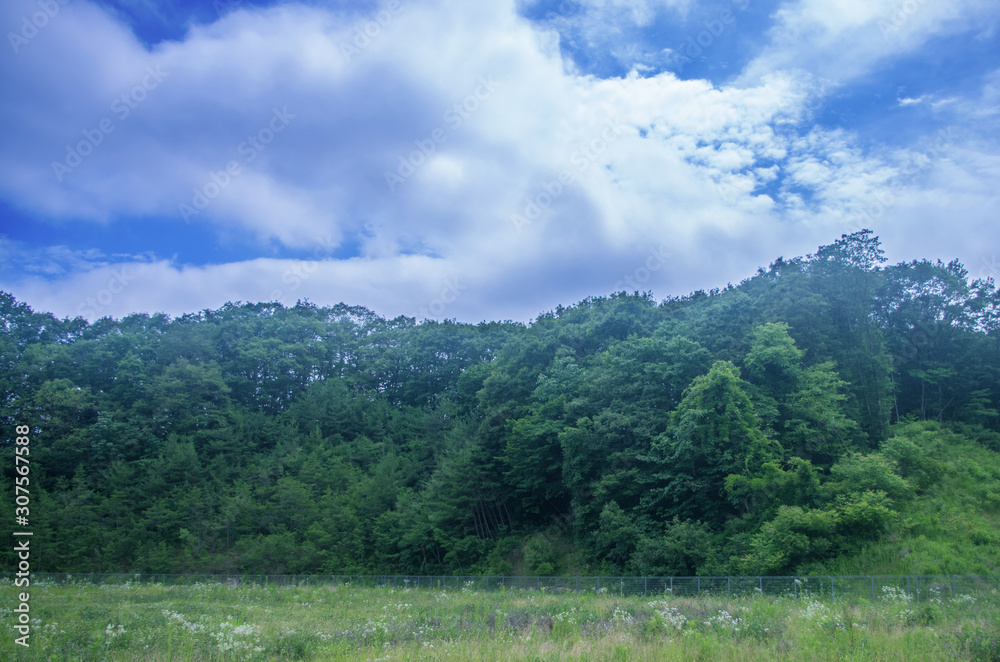 風景