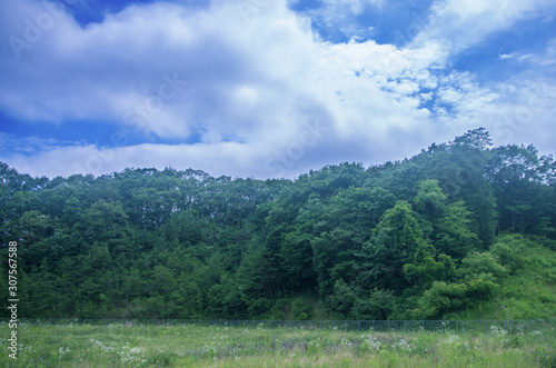 風景