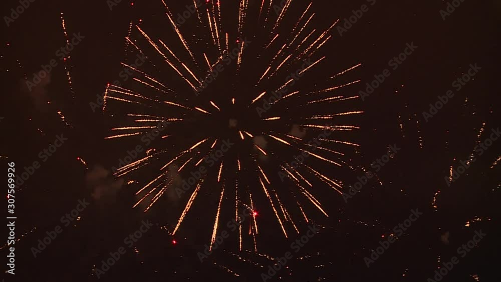 The Fireworks In The Night Sky Great for Christmas and New Year Very colorful The Fireworks In The Night Sky Great for Christmas and New Year Very colorful