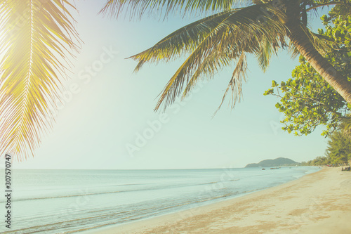 Tropical seascape view of blue sea with coconut trees on sand beach. © Angkana