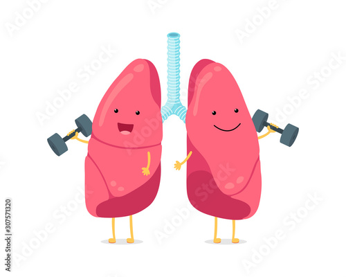 Cute cartoon funny lungs character with dumbbells. Strong smiling lung. Human respiratory system happy internal breath organ mascot. Medical healthy anatomy flat vector illusrtation