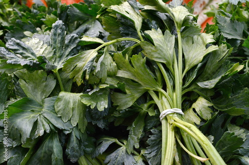 Bunches of flat leaf parsley for sale on a farmers market stall