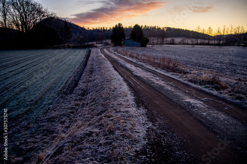 冬の夜明け。霜の降りた大地。 © Masa Tsuchiya