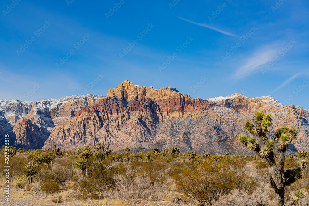 Fototapeta premium Winter snowy landscape of the famous Red Rock Canyon