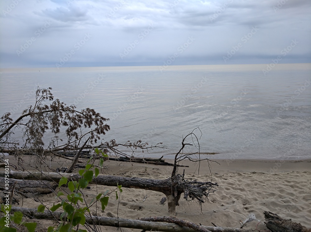 Baltic sea coast