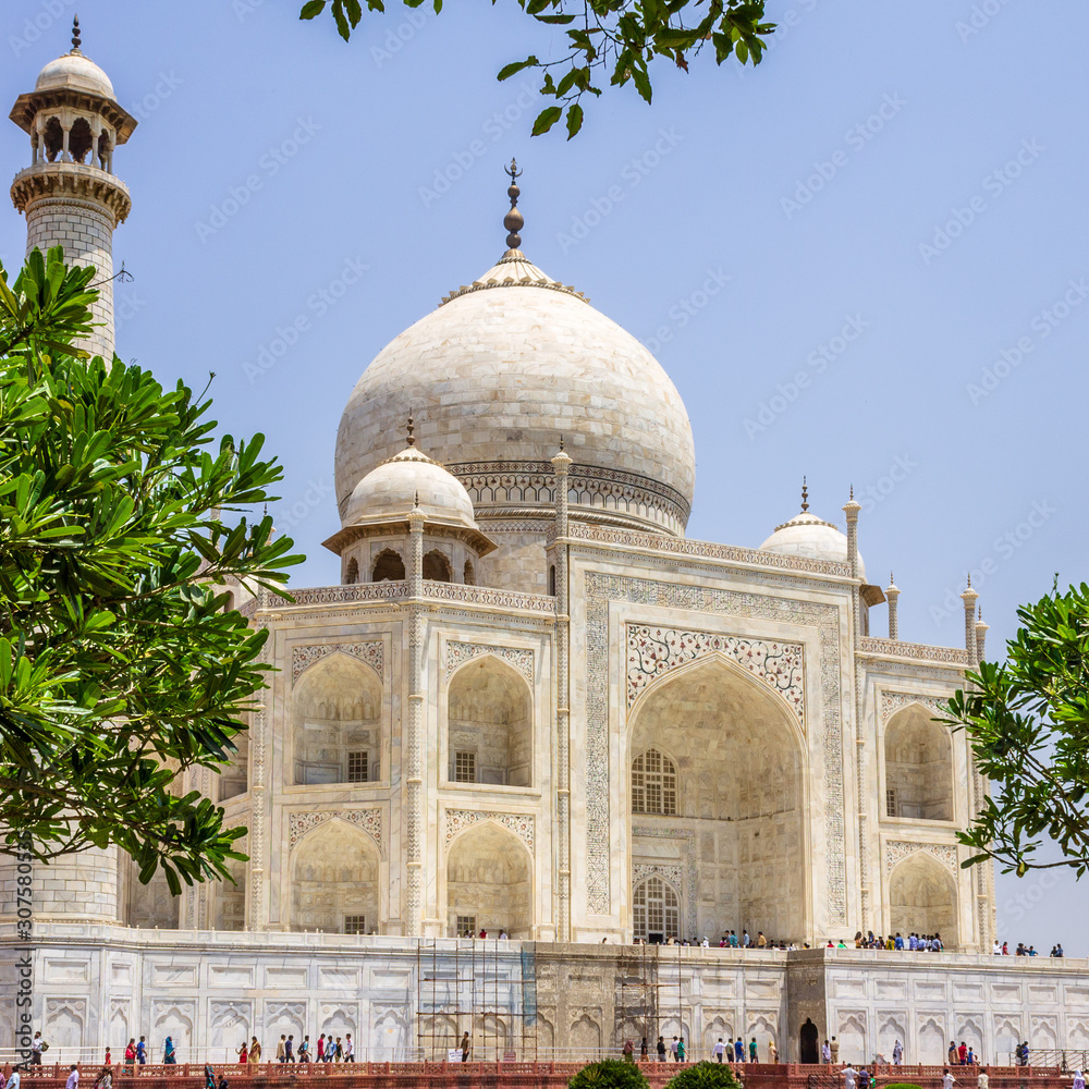Close view on Taj Mahal inside vegetation with visitors. UNESCO World Heritage in Agra, Uttar Pradesh, India
