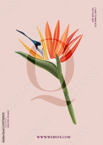 Bird of paradise graphic card design. Modern 3d realistic vector poster with exotic flowers vertical graphics, jungle botanical art for banner, advertising, invitation. Summer flower bloom 
