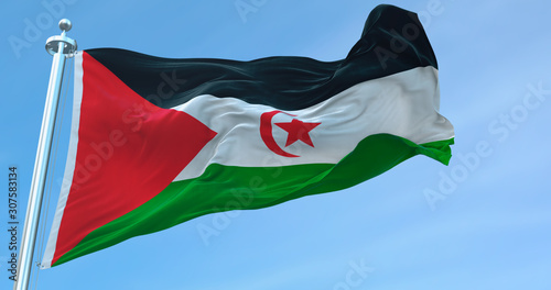 3D Rendering Western Sahara national Flag textile cloth fabric waving on the top -Illustration