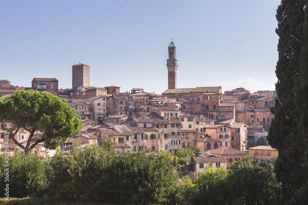Siena Italy, view of the Duomo and surrounding buildings on the skyline of the city of Siena in Tuscany, Italy.