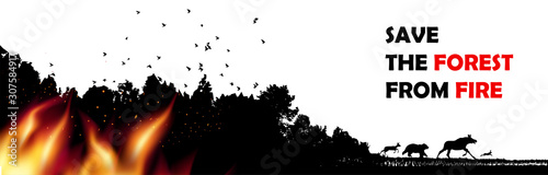 Burning forest trees in fire flames. Concept, vector illustration.