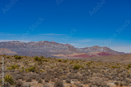 Black Velvet Canyon of the famous Red Rock Canyon