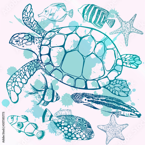 Sea turtle and tropical fish. Marine set. Perfect for invitations, greeting cards, print, banners, poster for textiles, fashion design.
