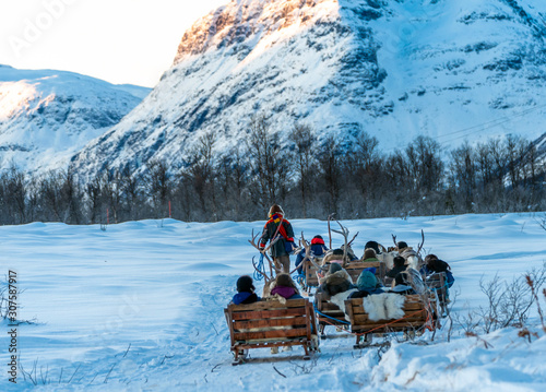Sami guides with tourists on reindeer sleds