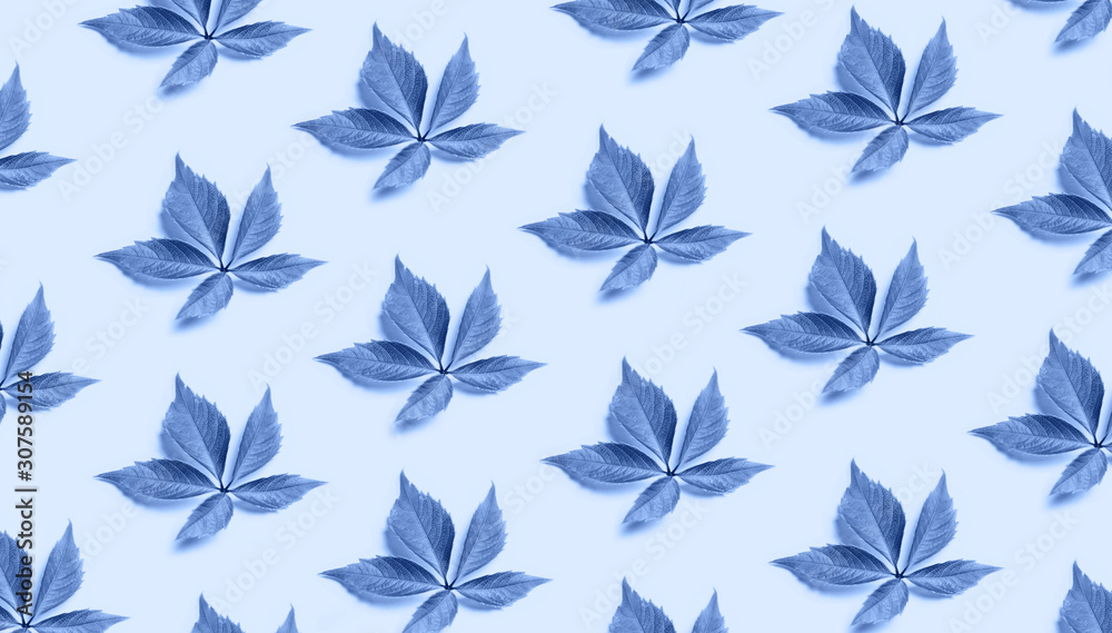 leaf pattern on clasic blue background. Trendy minimal color of 2020 background. Top view, flat lay. leaf pattern on clasic blue background. Trendy minimal color of 2020 background. Top view, flat lay.