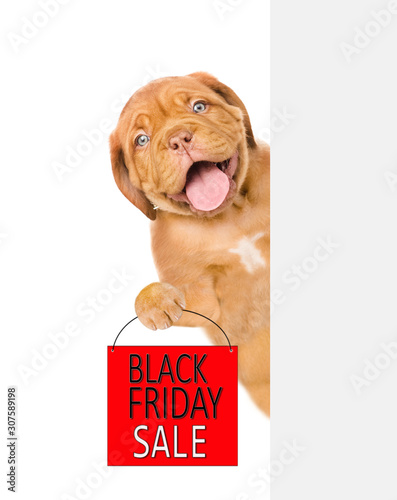 Happy puppy holds shopping bag with black friday text behind empty white banner. isolated on white background