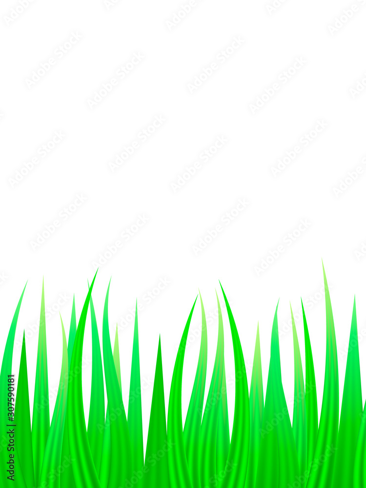 Obraz premium Green grass background. Vector illustration for poster or card
