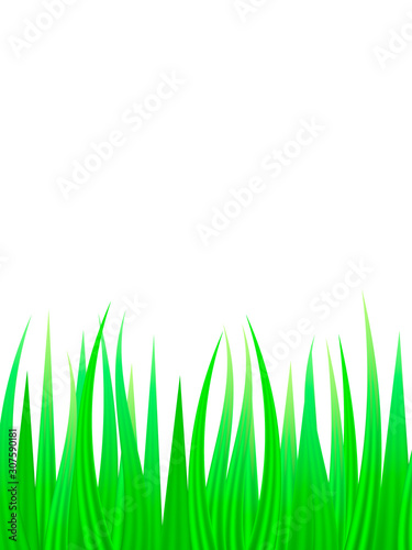 Green grass background. Vector illustration for poster or card